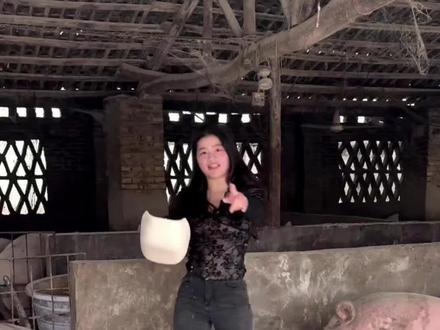 忘了她,我卖猪养你#谁dj #养猪人 #新农人2026 #农村生活