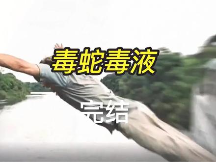 加蓬蝰蛇和眼镜王蛇的毒液遇到人体的血液会有什么物理和化学反应呢?#纪录片 #神奇动物在抖音 #野生动物零距离 #动物世界精彩解说 #爱护大自然保护野生动物