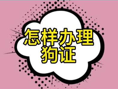如何办理狗证?#包头 #文明城市 #养狗 #民呼我应