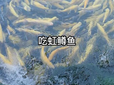 初秋的淄博,褪去了暑期的燥热,一起吃秋吧#安利一波山东的初秋 #山东生活日记 #冲哥爽食天下#淄博