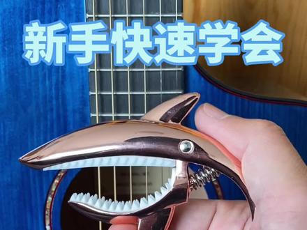 新手快速学会《后来》,视频用琴:摩莉M1@DOU+小助手 @抖音小助手 #吉他弹唱教学 #新手吉他推荐 #吉他零基础教学