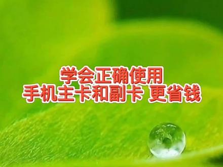手机主卡和副卡有啥区别你知道吗?正确使用可以少出套餐费的钱 #手机卡