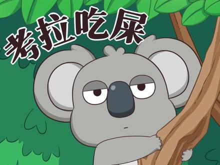 最惨国宝,可可爱爱的考拉竟然是吃便便长大的#奇妙的动物 #冷知识 #考拉