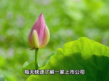 每天快速了解一家上市公司,今天讲的是莲花控股。 #莲花控股 #AI算力 #数据中心 #转型逻辑 #短线交易