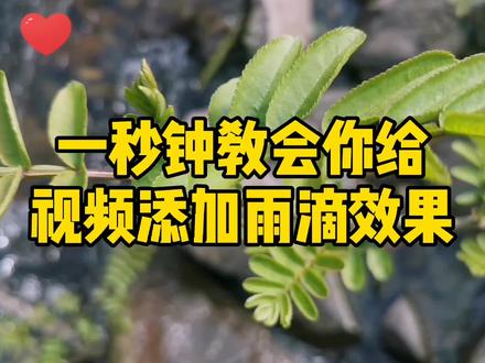 一秒学会给照片和视频添加雨滴效果#手机摄影 #剪映雨滴效果 @抖音小助手