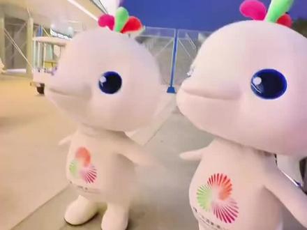 又有新歌啦😆#大湾鸡