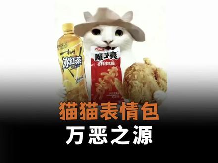原来这就是万恶之源干嘛猫的由来 #干嘛猫 #万恶之源#猫猫表情包