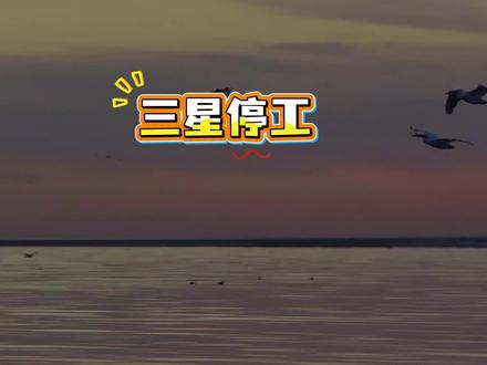 6.6万人不上班了,三星大规模停工,存储芯片涨价潮再加速…… #三星 #存储芯片 #电脑知识 #diy电脑
