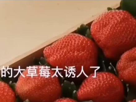 十八巷的小朋友们从来不是胆小鬼……
ys@悦文.