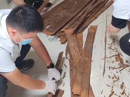 制作杉树皮小夹板#骨折 #正骨 #杉树皮