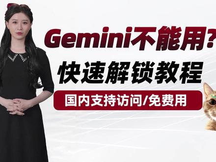 Gemini目前不支持你所在地区?访问被拒?解锁最新教程 怎么解锁Gemini的IP识别与风控机制#Gemini #IPIPGO
