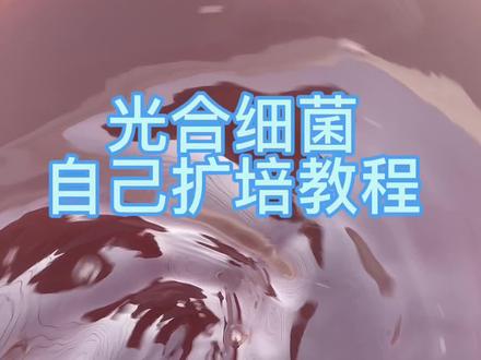 成本一毛一斤的光合细菌如何扩培!!#泰州 #河蟹养殖 #螃蟹养殖 #苏州 #三农 #盐城 #湖北 #河蟹 #宣城 #安徽无为 #水产养殖技术 #上抖音学农技