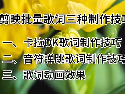 今天分享用剪映批量编辑歌词三种制作技巧,新手必备技能。#视频剪辑教程 #剪辑教程 #教程