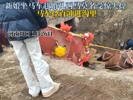 河南周口,新郎新娘坐马车赴婚礼两马莫名受惊失控马车径直冲进沟里!#周口 #婚礼 #新娘 #马车