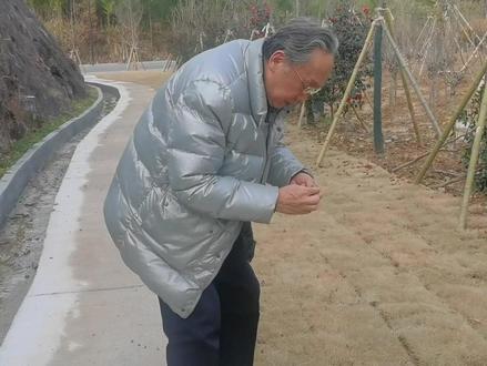 大哥捡到个金戒指,女人说是她的大哥不相、要把戒指交给帽子叔叔#劳模 #拾金不昧 #关注扶贫助力攻坚