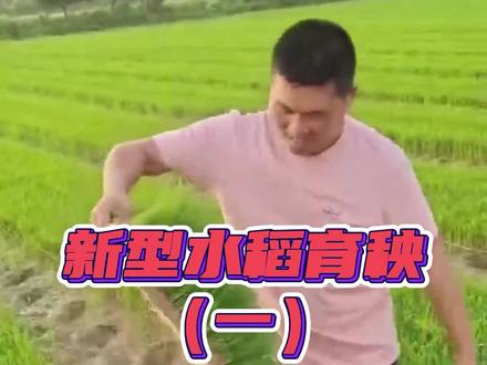 新的育秧方式供大家参考,讨论,下个视频是另外一种类似材料,无盘育秧。#三农 #杂交水稻 #水稻 #农民