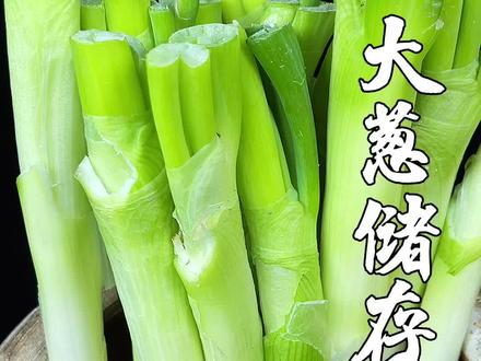 今天分享个大葱的储存方法,喜欢的家人们赶紧试试吧#美食教程 #抖音美食创作人 @抖音小助手 @DOU+小助手