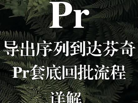 Pr怎么导出序列到达芬奇#调色 #pr调色 #pr #达芬奇