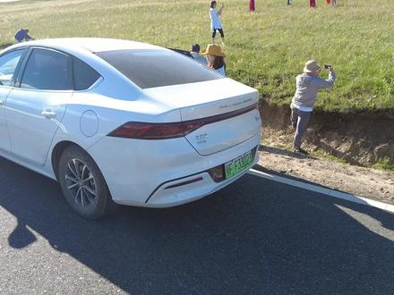 比亚迪秦PLUS DMi 高原驾驶表现 #秦plusdmi #比亚迪 #秦plus冠军版 #川西自驾 #自驾