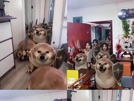 我的刀盾狗特效教程来喽#我的刀盾狗#刀盾狗大军#剪映#一键做同款#特效制作教程