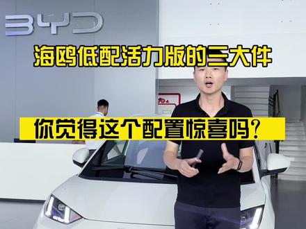 海鸥低配活力版的方向盘、轮毂、大灯,是不是你们最关心的三大件?这样的效果你们觉得怎么样?#比亚迪 #海鸥海鸥我们的朋友 #严选海鸥非常鸥克
