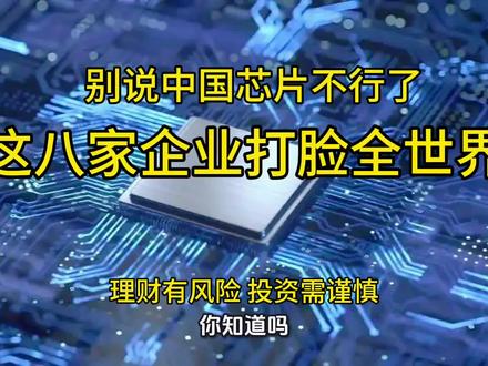 今天视频来拆解中国存储芯片领域,哪八家真正核心杀出一条血路的企业#存储芯片#长江存储#长鑫存储