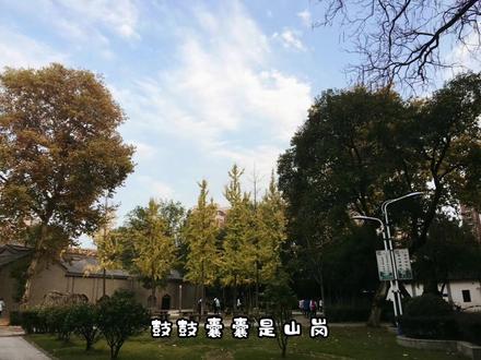 #安庆二中 #我为我的学校打call #学校🏫 所有人都来二中#校园 #欢迎报考