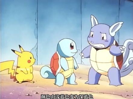 宝可梦杰尼龟进化之路 #动漫 #治愈系 #二次元 #动漫解说