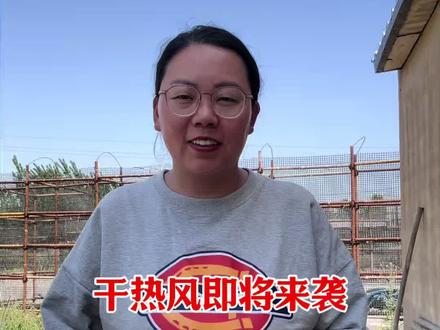 小麦田的干热风要来了,专啃咱们灌浆的小麦,咱们一定要科学预防,记住2点那么咱们农户应该如何应对预防方法应该应该怎么样呢?#小麦干热风。#干热风怎样预防?#小麦管理?#小麦灌浆期管理 #热门