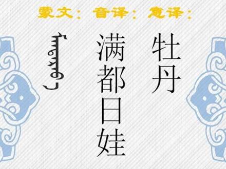 学习蒙语中的花名,很有意义。