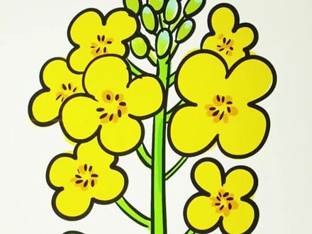 简单画油菜花#简笔画#画画教程#学画画