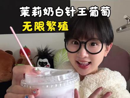 茉莉奶白针王葡萄无限繁殖大法!还得是邪修呀... #茉莉奶⽩针王苹果 #茉莉奶⽩针王葡萄
#液断#vlog日常#茉莉奶⽩东⽅摩登茶