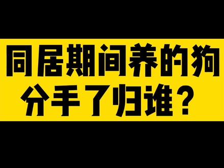 恋爱时候的养的狗,分手了归谁?#恋爱 #同居 #狗 #狗狗 #民法典 #有张法 @抖音小助手