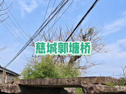 宁波慈城这座南宋古桥,低调又珍贵。#慈城#郭塘桥#古桥