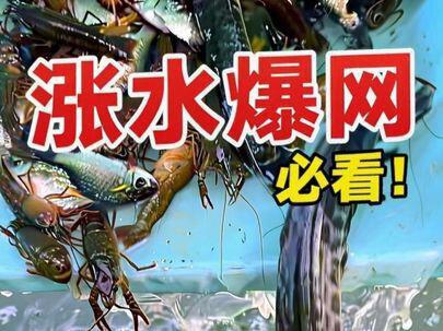 第五集:下雨收获就翻倍#我的乡村生活 #捕鱼的快乐