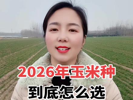 2026年玉米种该怎么选?#抖音助农 #玉米种 #高产玉米种