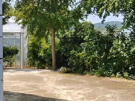 上梁不正下梁歪,
本视频虚构演绎仅供娱乐