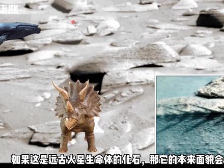 2023.4.1最新发现火星上的奇怪岩石形态!#火星 #探秘 #化石 #古生物 #UFO