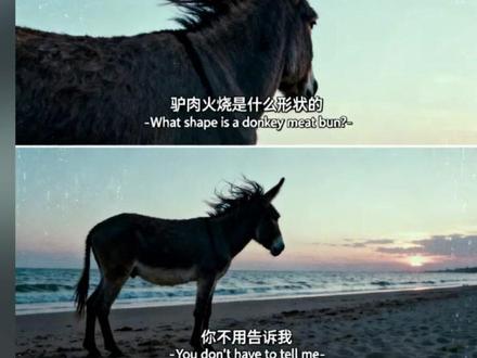 没有一只驴能走出保定,现在马也不行,濮阳丁老二事件 #丁老二 #濮阳 #驴肉 #马肉 #许烦烦