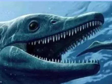 史上最大生物,眼睛可达半米长#史上最强 #最大生物 #生物 @抖音小助手