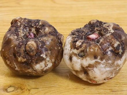 南方特色魔芋豆腐:学会家庭配方,劲道十足,秘制小吃做法麻辣鲜香!