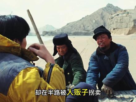 省城下来的记者,却在半路被人贩子拐卖 #生命树 #杨紫 #胡歌