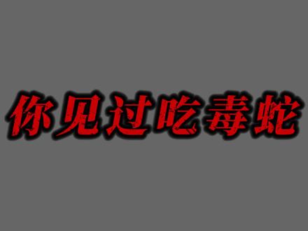 把毒蛇当面条嗦着吃,蛇鹫才是毒蛇真正的克星。 #动物科普 #蛇鹫 #神奇的大自然