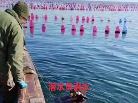 潜水员潜水30米浮出水面的过程。老铁们有眼福了