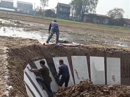 这个面积是6.5亩,瓷砖5000元钱左右,人工工资4500元钱,水泥沙石成本大概12000元,总成本预计21500元#养殖 #甲鱼养殖