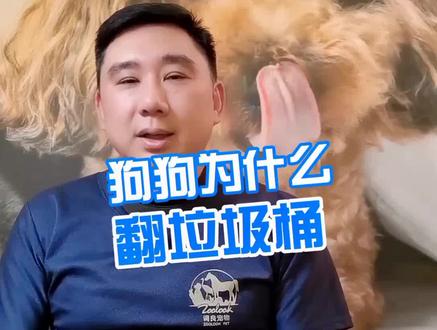 狗狗为什么爱翻垃圾桶#知识创作人 @抖音小助手