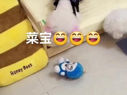 菜宝要笑s我哈哈#小B熊的麻麻#丧彪