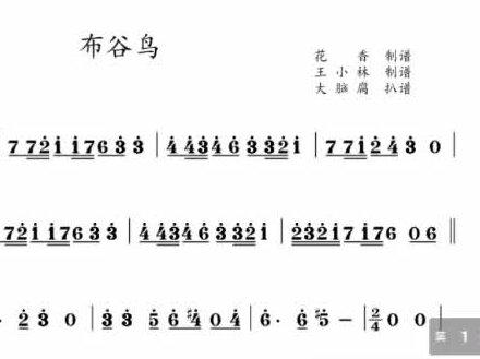 小提琴 中提琴 大提琴 萨克斯 长笛 单簧管 小号 圆号 长号 独奏谱#布谷鸟 #安子与九妹