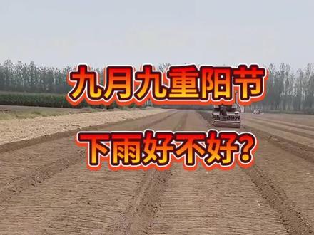 九九重阳节下雨好不好呢?#农业种植 #关注我每天为你分享更多农业知识