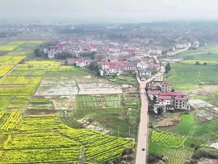 贵溪美丽乡村:春暖花开新田畈姚家、费家#春天的味道 #无人机航拍